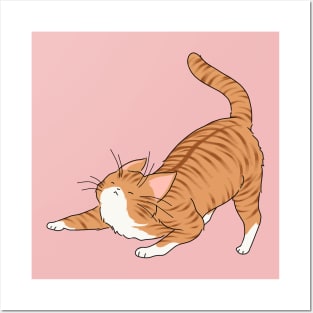 cat stretching Posters and Art